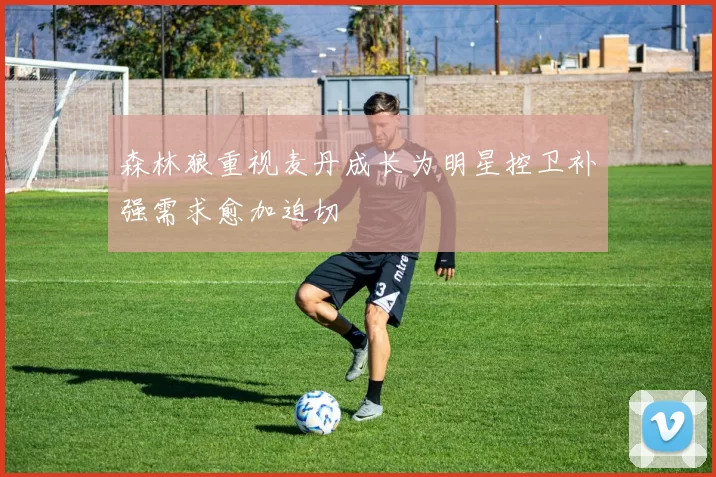 森林狼重视麦丹成长为明星控卫补强需求愈加迫切