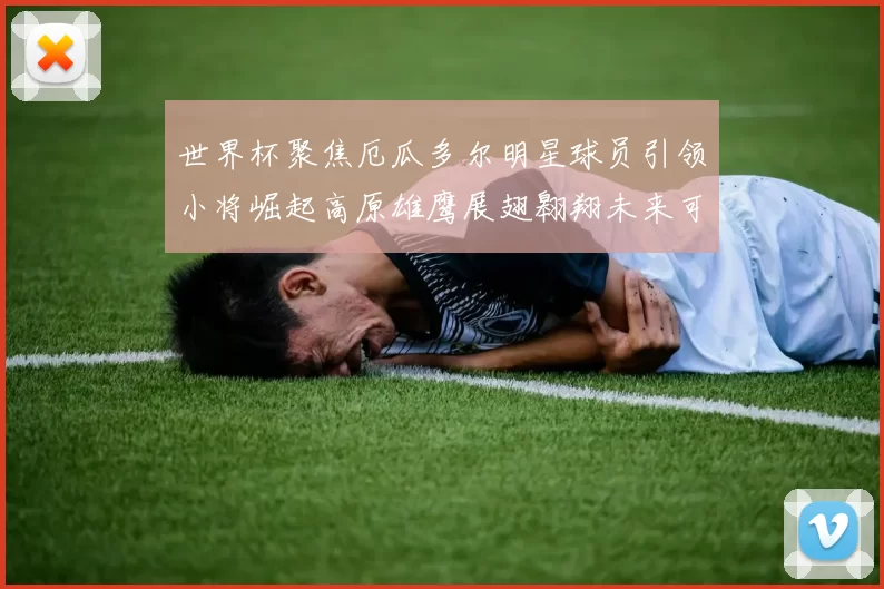 世界杯聚焦厄瓜多尔明星球员引领小将崛起高原雄鹰展翅翱翔未来可期