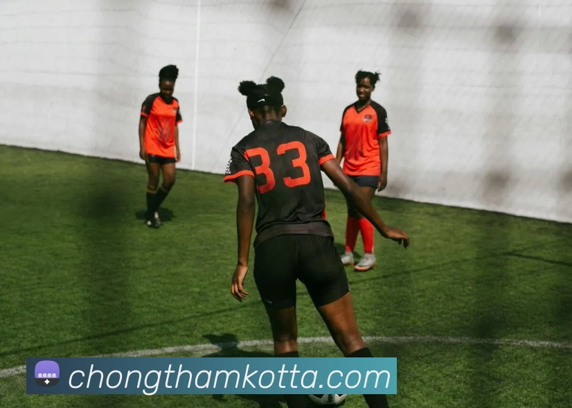 多彩内容专区